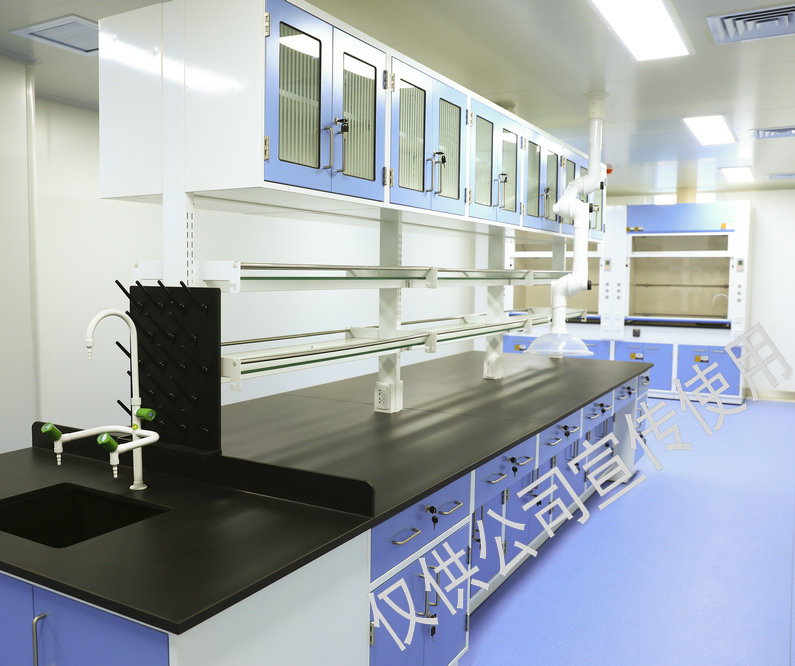 赛赋医药河北医药技术有限公司5号楼动物实验室、生物安全实验室（ABSL-2)、功能实验室施工工程